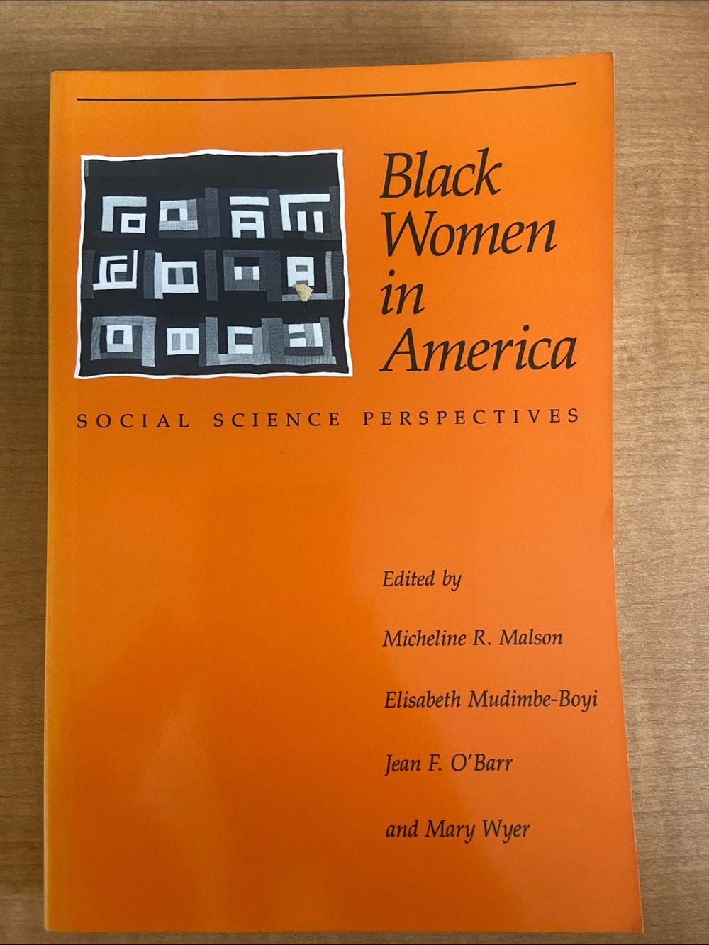 Black Women in America - Social Science Perspectives